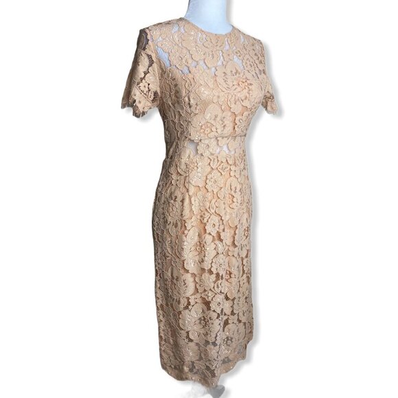NSR Lace Short Sleeve Sheath Midi Dress in Beige Womens Sz Small $115 - Picture 5 of 7